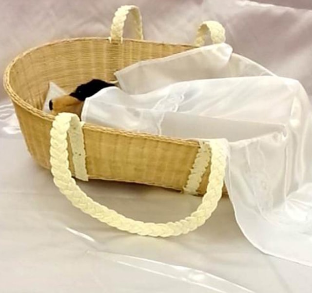 個別火葬プラン