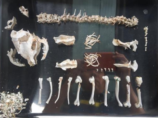 お骨上げ(ご収骨)