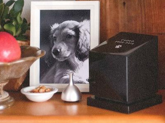 ペットちゃんのお墓(自宅用)フレームなし